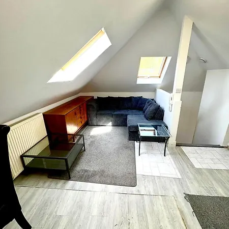 Attic Conversion 利兹